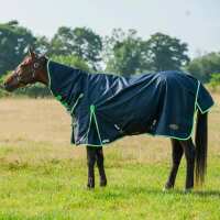 Read Online for Equine Reviews